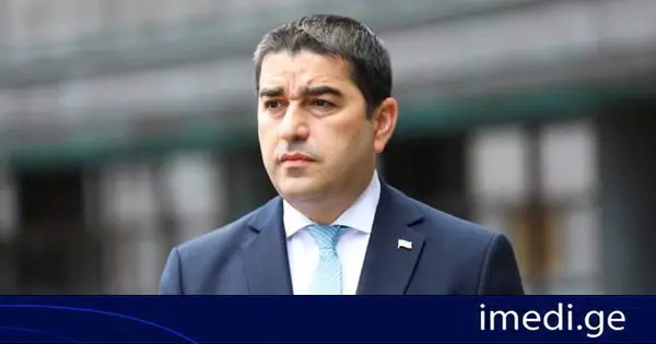 შალვა პაპუაშვილი: თუკი კოლექტიური „ნაციონალური მოძრაობა“ მოვა ხელისუფლებაში, მათ ექნებათ გარედან სრული კარტ-ბლანში მართლმსაჯულების სისტემაზე წნეხისთვის