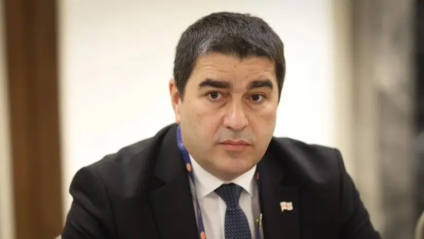 "ეს მათი პასუხისმგებლობა იყო, თუ არ ეკუთვნოდათ დახმარება და ბაზაში რჩებოდნენ" - შალვა პაპუაშვილი სოცდაუცველებზე