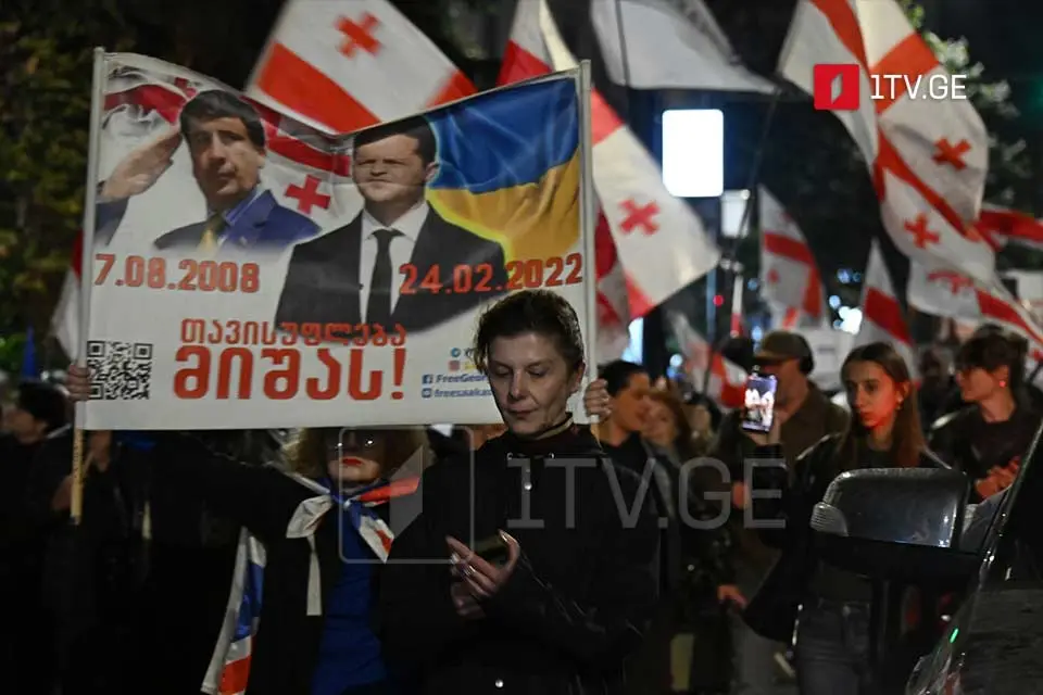 თამარ ჩერგოლეიშვილი – პოლიტიკური ტრიპერის ანკესიანი ბანერებიც აქაა, ცხადია, სააკაშვილს ვგულისხმობ