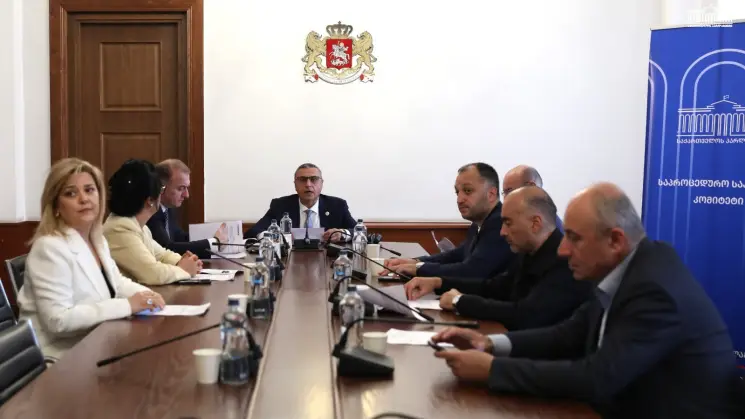საპროცედურო საკითხთა კომიტეტმა მაია ბითაძის ადგილმონაცვლის, ქეთევან ხუროძის პარლამენტის წევრის უფლებამოსილების ცნობის საკითხს მხარი დაუჭირა