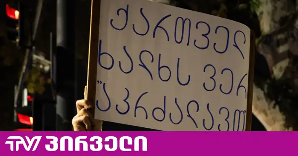 TI: ოცნება სულ მცირე 800 000 მოქალაქეს პოლიტიკური არჩევანის გარეშე დატოვებს