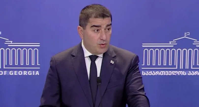 პაპუაშვილი: ევროკომისიის მხრიდან საქართველოს მიმართ საბჭოთა მეთოდებს ვუყურებთ
