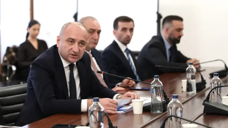 ირაკლი ლექვინაძემ პარლამენტის ეკონომიკურო პოლიტიკის კომიტეტის სხდომაზე GCCA -ის საქმიანობის ანგარიში წარადგინა
