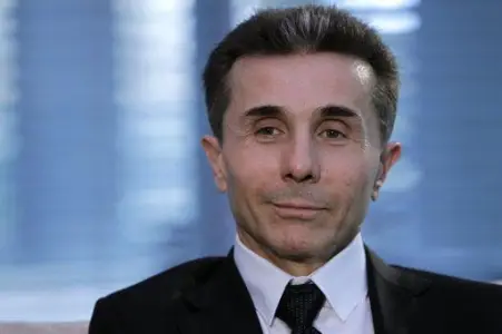 საკონსტიტუციო სასამართლომ მოწმის სახით ივანიშვილის დაბარებაზე უარი თქვა