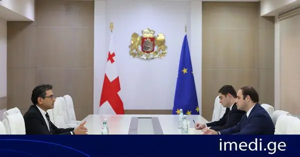 მთავრობის ადმინისტრაციის უფროსი თურქეთის ელჩს შეხვდა