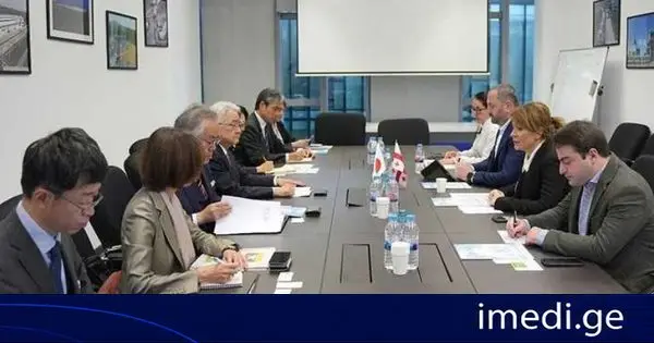 ეკონომიკისა და მდგრადი განვითარების მინისტრის მოადგილე თამარ იოსელიანი იაპონური კომპანიის The Building Center of Japan (BCJ)-ის პრეზიდენტს კიმიჰირო ჰაშიმოტოს შეხვდა