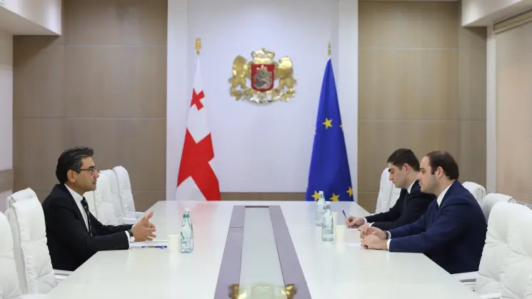 მთავრობის ადმინისტრაციის უფროსი თურქეთის ელჩს შეხვდა