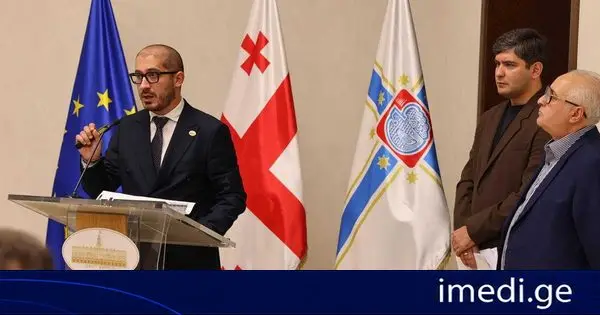 ფრაქცია „ხალხის ძალის“ წევრებმა თბილისის საკრებულოში საქმიანობის ანგარიში წარადგინეს