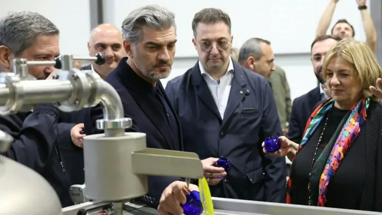 დავით სონღულაშვილმა ზეთისხილის რთველში მიიღო მონაწილეობა