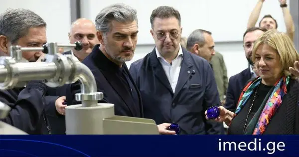 დავით სონღულაშვილმა ზეთისხილის მოსავლის აღებაში მიიღო მონაწილეობა