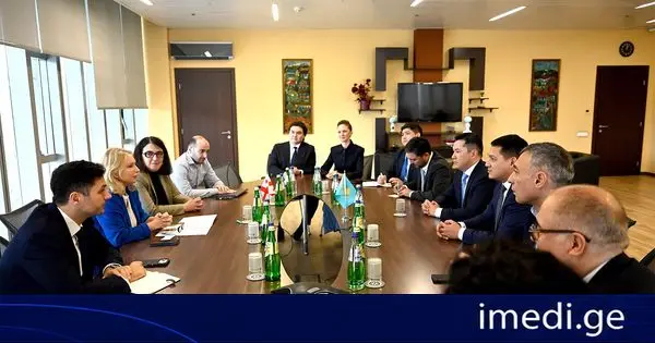 ნათია თურნავამ ასტანის საერთაშორისო ფინანსური ცენტრის მმართველ რენატ ბექტუროვთან შეხვედრა გამართა