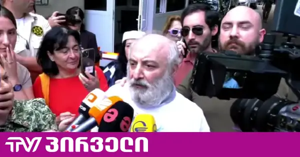 ექიმ ჩახუნაშვილს საპროცესო შეთანხმება გაუფორმდა - ექიმი დარბაზიდან გაათავისუფლეს