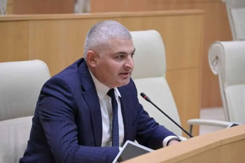 გიორგი სოსიაშვილი რადიკალების აქციაზე: „ნახევარი საქართველო დაიჭირეს, ნახევარი საქართველო გააუბედურეს და ამ მწამებლების დაძახილზე ვინ უნდა გავიდეს?“