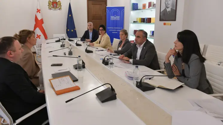 მარიამ ლაშხმა საგზაო უსაფრთხოების საკითხებზე სამუშაო შეხვედრა გამართა