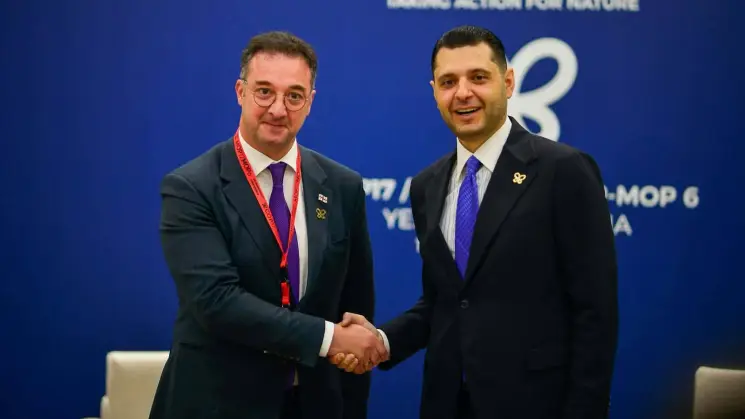დავით სონღულაშვილი სომხეთის გარემოს დაცვის მინისტრს შეხვდა