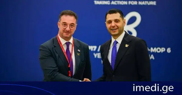 დავით სონღულაშვილი სომხეთის გარემოს დაცვის მინისტრს შეხვდა