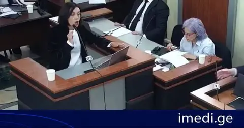 „იმედის“ დარბევის საქმე ანა წითლიძემ „რაღაც საქმედ“ შეაფასა