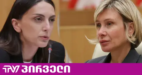პარლამენტში დეპუტატებმა ერთმანეთს უტვინოები ეძახეს