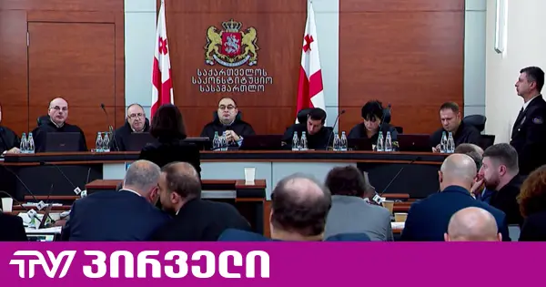 ანა წითლიძე პლენუმს: ილია გზას აირჩევთ თუ ბერბიჭაშვილების, ეს თქვენი გადასაწყვეტია