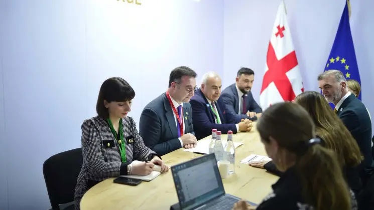 დავით სონღულაშვილი ბუნების დაცვის საერთაშორისო კავშირის გენერალურ დირექტორს შეხვდა