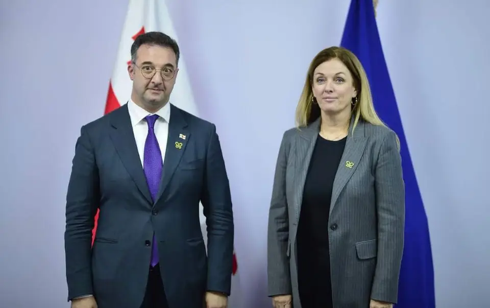 დავით სონღულაშვილი გაერო-ს განვითარების პროგრამის რეგიონულ დირექტორს შეხვდა
