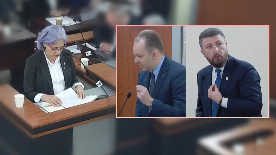 ჩემი სტუდენტები იყვნენ, რა საფრთხეს წარმოვადგენ მე? - კოპალეიშვილი „ოცნების“ დეპუტატებს