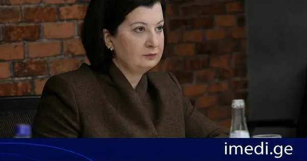 თამარ ზოდელავა „მეწარმეთა შესახებ“ კანონზე: მისი მთავარი მნიშვნელობა განპირობებულია იმით, რომ დაცული იყოს ბიზნესი და სამეწარმეო სუბიექტები