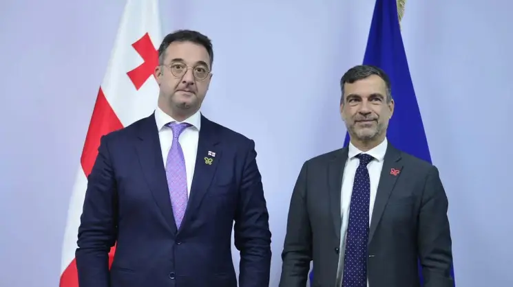დავით სონღულაშვილი ერევანში, ევროპის საბჭოსა და ბერნის კონვენციის წარმომადგენლებს შეხვდა