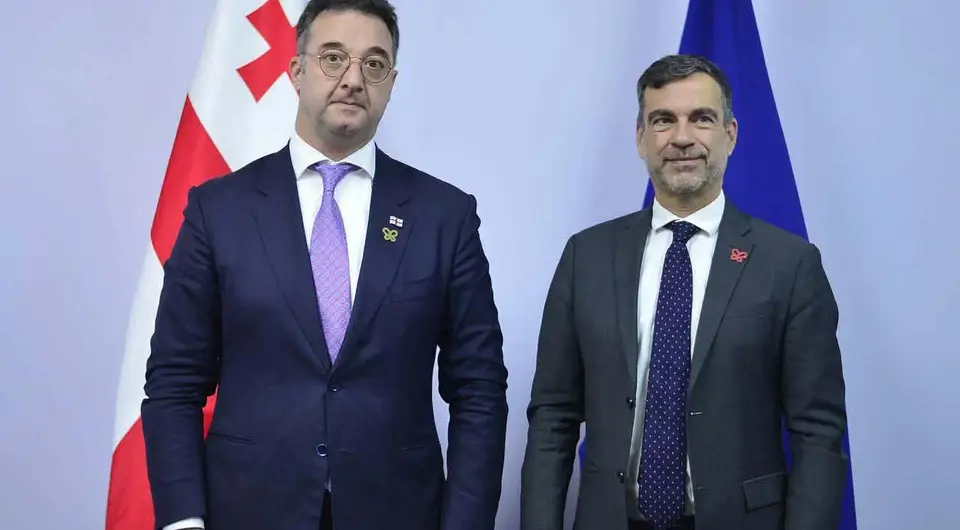 დავით სონღულაშვილი ერევანში ევროპის საბჭოსა და ბერნის კონვენციის წარმომადგენლებს შეხვდა