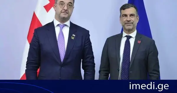 დავით სონღულაშვილი ერევანში, ევროპის საბჭოსა და ბერნის კონვენციის წარმომადგენლებს შეხვდა