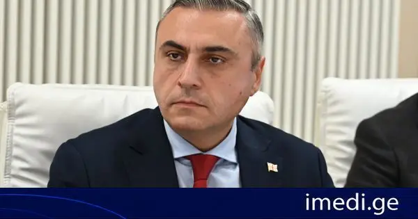 დავით მათიკაშვილი: როდესაც ჩვენ ვხედავთ „გამჭვირვალობის კანონის“ მიღების ასეთ მზარდ პრაქტიკას ევროკავშირის ქვეყნებში, ეს ხომ პირდაპირი მნიშვნელობით გულისხმობს იმას, რომ მოუმწიფარი პოლიტიკის გამო, პოლიტიკურად ცხვირი წაიტეხა ევროკავშირის აღმასრულებელი რგოლის მმართველობითმა სისტემამ