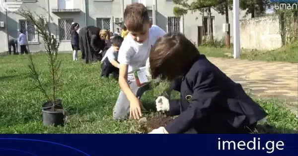 ხობის მუნიციპალიტეტის საჯარო და კერძო სკოლების პირველკლასელებმა პრემიერ-მინისტრ მიერ ინიციირებული პროგრამის – „ჩემი პირველი ნერგის“ ფარგლებში, ხის ნერგები დარგეს