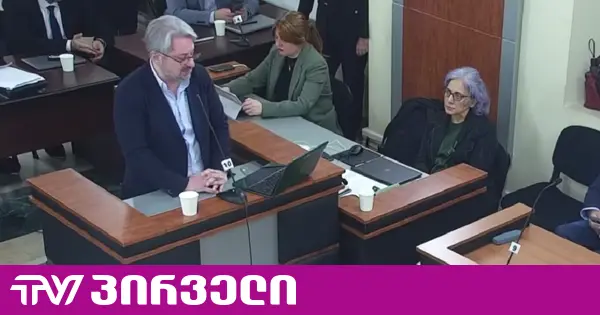 გვარამია: ნორმად განმარტების იმ სისტემით, რომელსაც მოსარჩელე გვთავაზობს, ასაკრძალი თავად „ქართული ოცნებაა"