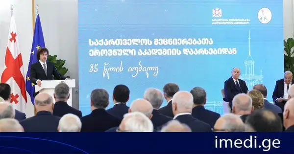 პრემიერ-მინისტრმა მეცნიერებათა ეროვნულ აკადემიას 85 წლის იუბილე მიულოცა