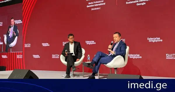 ეკონომიკისა და მდგრადი განვითარების მინისტრის მოადგილემ, ირაკლი ნადარეიშვილმა სინგაპურში აზიის ერთ-ერთი უმსხვილესი ტექნოლოგიური ფორუმის SWITCH 2026-ის პანელურ დისკუსიაში მიიღო მონაწილეობა