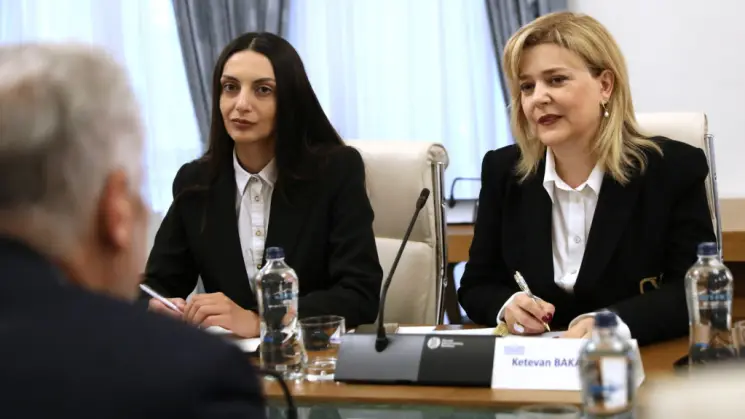ფრაქცია "საქართველოსთვის" წევრები აღმოსავლეთ და ცენტრალური ევროპისა და ცენტრალური აზიის ნარკოპოლიტიკის კომისიის (ECECACD) წარმომადგენლებს შეხვდნენ