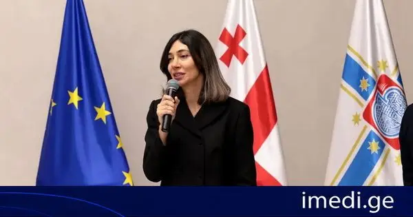 თინათინ ნიბლოშვილმა 2025–2026 წლების საქმიანობის ანგარიში წარადგინა