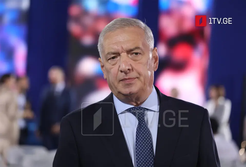 გია ვოლსკი – საქართველოში ქაოსის შექმნა ევროპულ ქვეყნებში კონკრეტული ადამიანების ინტერესშია და ეს ინტერესი უკავშირდება გავლენებს სტრატეგიულ მიმართულებებზე, ამ საკითხზე გამოძიება უნდა გაგრძელდეს