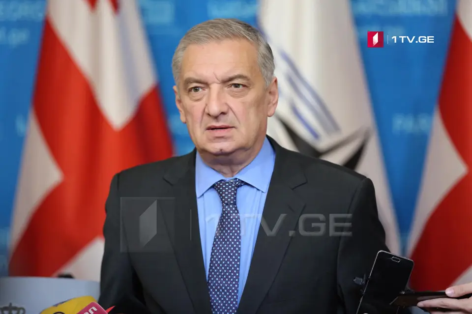 გია ვოლსკი – სავალალოა, რომ ქვეყანაში არსებობენ ადამიანები, რომლებიც პოლიტიკურ პარტიებს უწოდებენ საკუთარ თავს და დაპირისპირებული არიან ქვეყნის მომავალთან