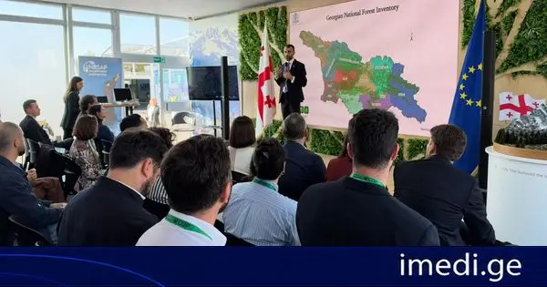 საქართველოს ტყის ეროვნული აღრიცხვის შედეგები COP17-ზე განიხილეს