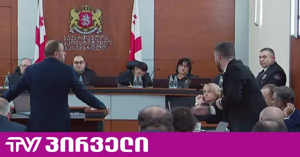 „შეურაცხმყოფელი რა იყო, ან ნერვებზე რა შემატყვეთ, რომ ვერ ვიწყნარებ?" - სიტყვიერი დაპირისპირება საკონსტიტუციოში