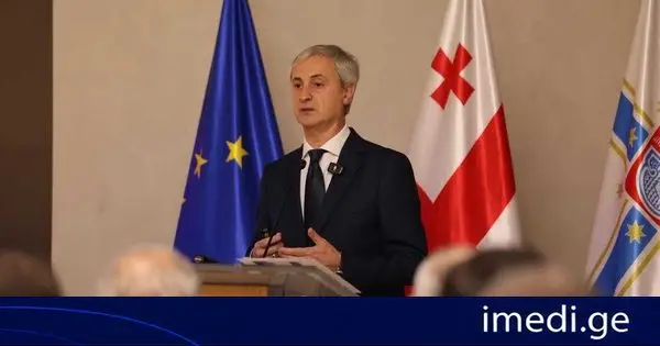 ზურაბ ჩიკვილაძემ ერთწლიანი საქმიანობის ანგარიში წარმოადგინა
