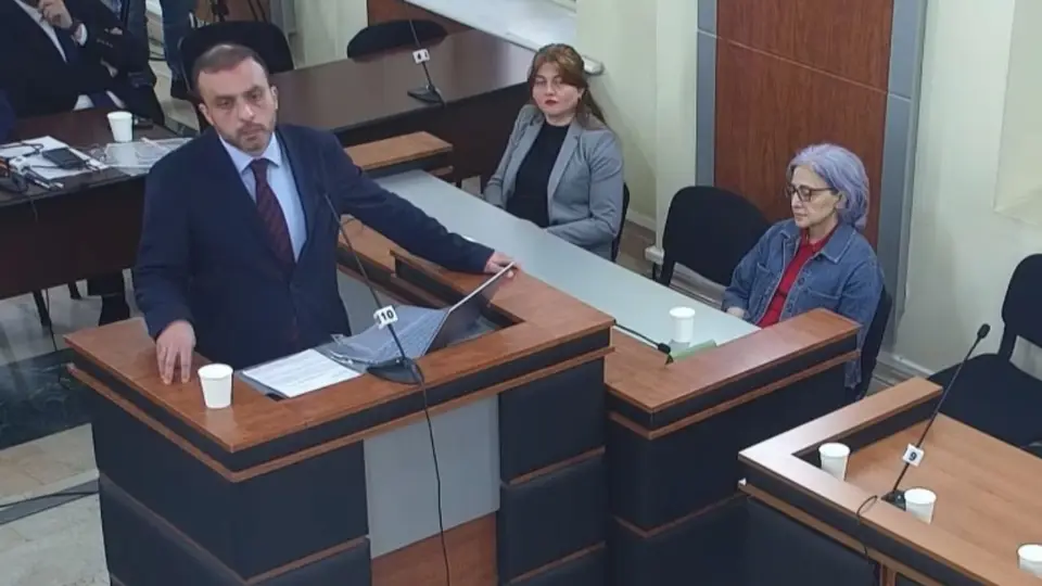 სარჩელის გაზიარება რუსეთის სასარგებლოდ სუვერენიტეტის კონსტიტუციურ თვითშეზღუდვას შეიძლება გაუტოლდეს — სიორიძე