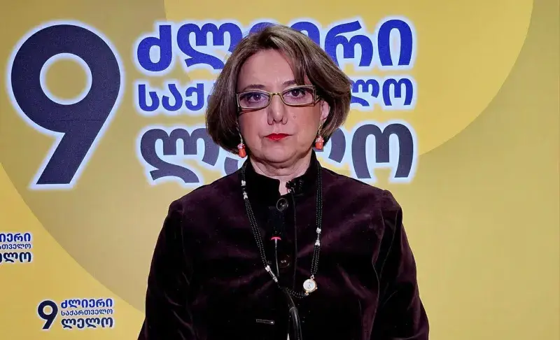 სალომე სამადაშვილი საზღვრების დემარკაცია-დელიმიტაციაზე - პროგრესის მოლოდინი არ მაქვს, სანამ ეს ხელისუფლება მართავს ქვეყანას, განსაკუთრებით იმ ფონზე, როცა აზერბაიჯანი გახდა ლიდერი და საქართველოს ხელისუფლებად პოზიციების დაცვა არსად შეუძლია