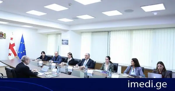 მიხეილ სარჯველაძე ჯანმოს გენერალური დირექტორობის კანდიდატ ჰანს კლუგეს შეხვდა