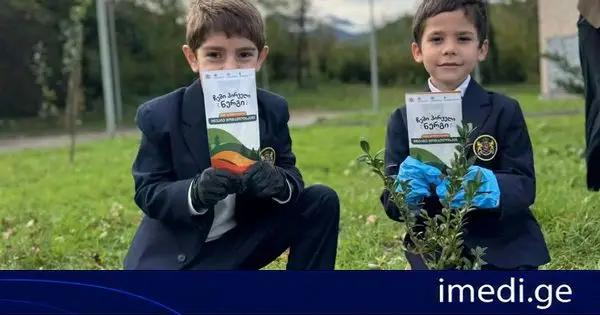 „ჩემი პირველი ნერგის“ პროგრამის მეექვსე დღეს პირველკლასელებმა 1 000-მდე ნერგი დარგეს