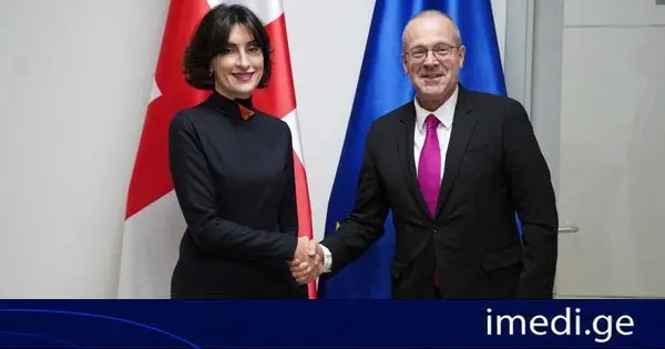 მაკა ბოჭორიშვილი ჯანმრთელობის მსოფლიო ორგანიზაციის გენერალური დირექტორობის კანდიდატს, ჰანს კლუგეს შეხვდა