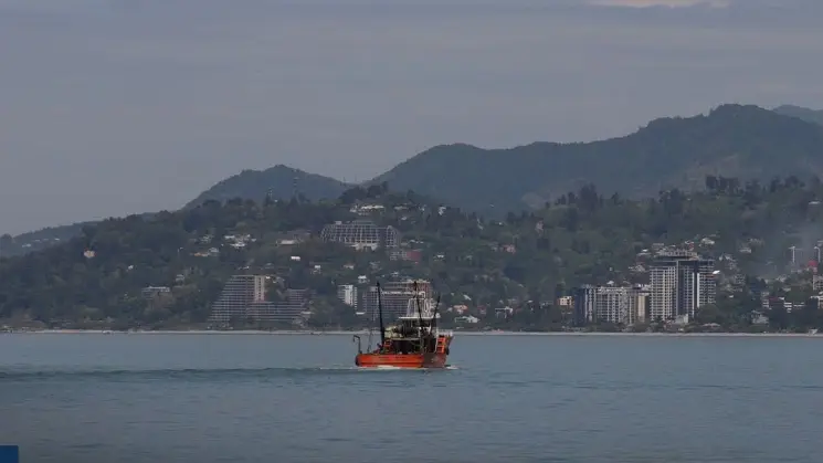 შავი ზღვის თევზის რესურსების სამეცნიერო შეფასების საფუძველზე, 2026-2027 წლების სარეწაო კვოტები განისაზღვრა