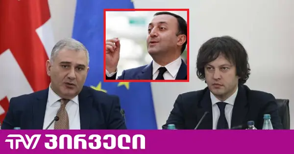 სარჯველაძე კობახიძეს ეთანხმება და ამბობს, რომ ღარიბაშვილს "პოლიტიკური კარიერის პერსპექტივა" არ აქვს