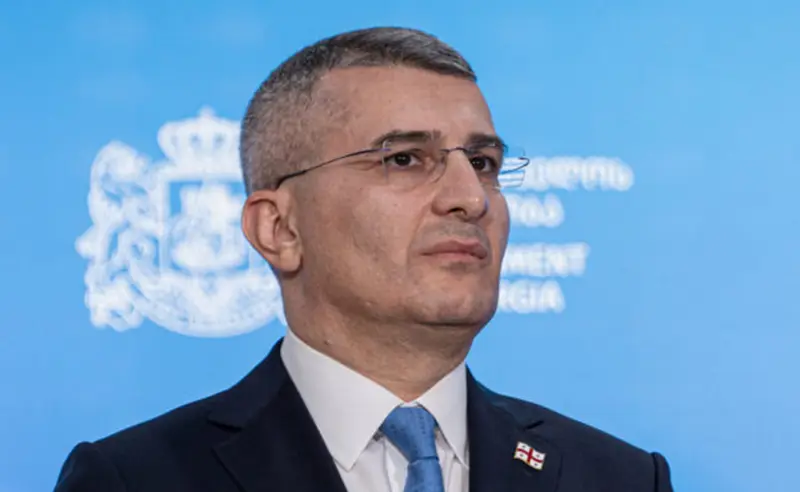მამუკა მდინარაძეს დაცვა დაუნიშნეს